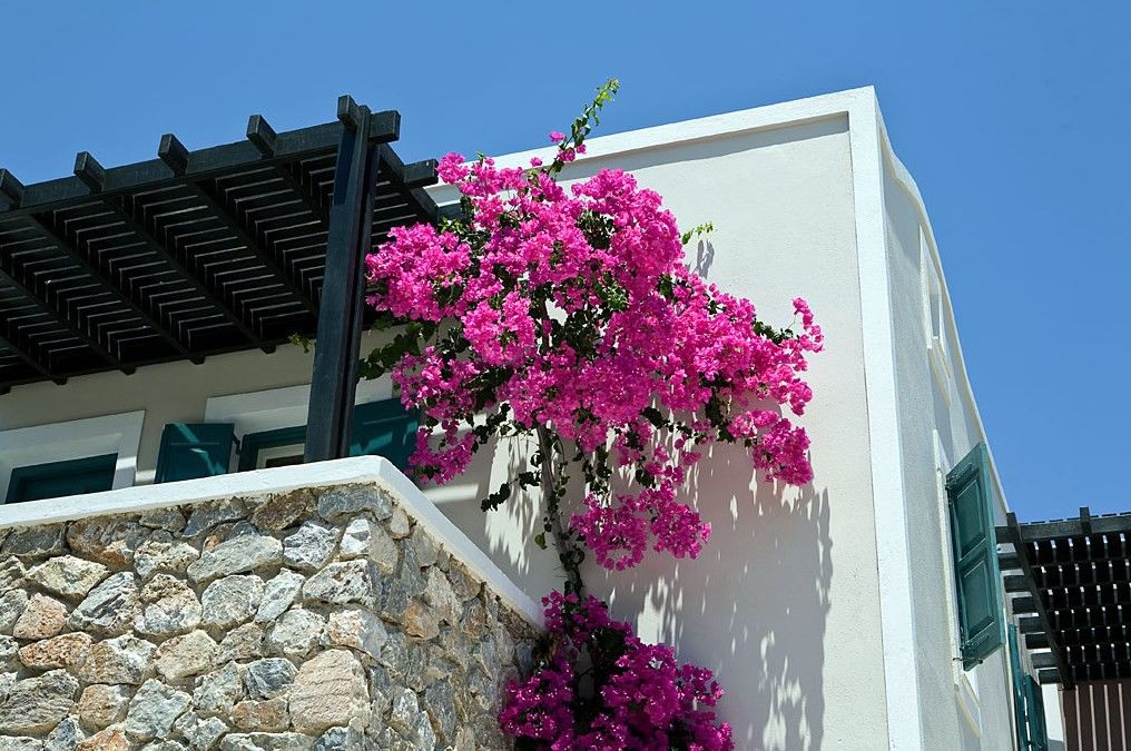 Kamári Rose Bay Hotel מראה חיצוני תמונה
